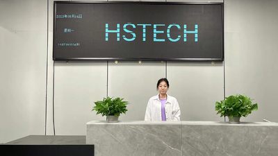 Shenzhen Hansome Technology Co., Ltd.